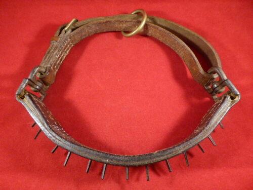 RARE ANTIQUE 18thC SPIKED LEATHER DOG COLLAR – USED AS PROTECTION FROM WOLVES