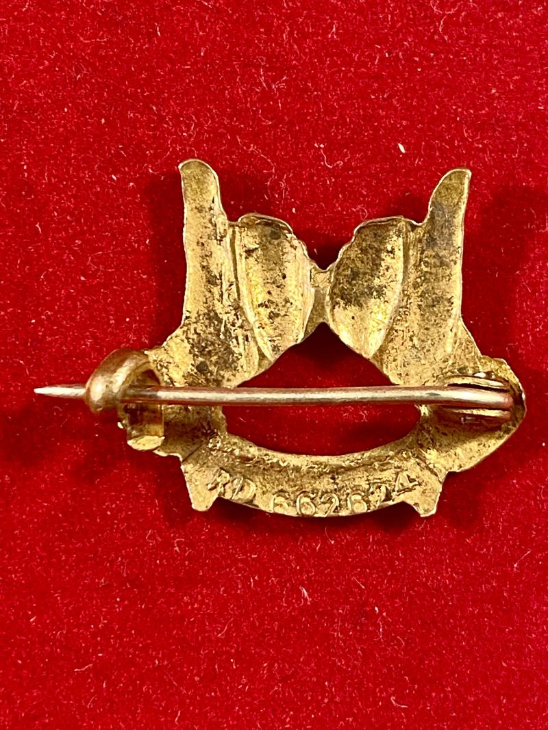 Unusual WW1 THUMS UP Brass Gilt and Enamel Brooch c1917