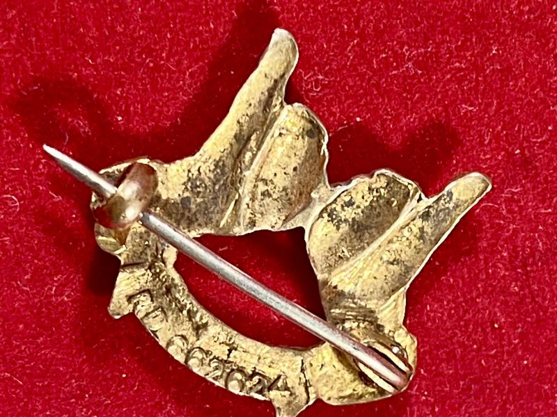 Unusual WW1 THUMS UP Brass Gilt and Enamel Brooch c1917