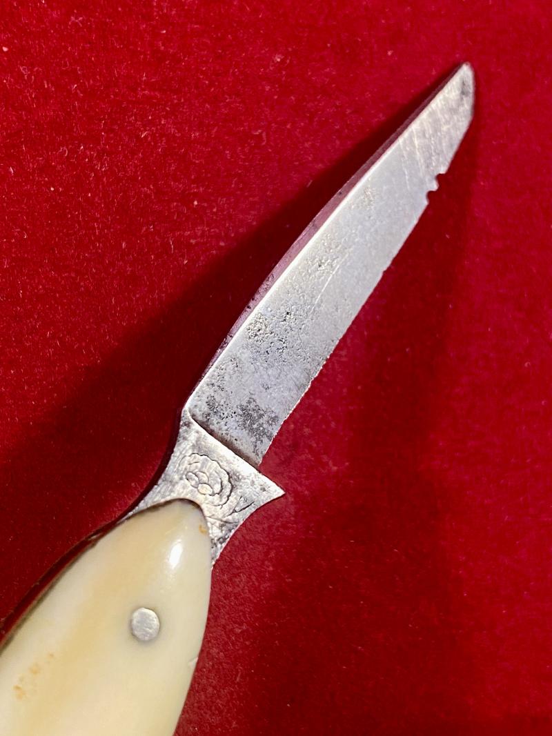 Unusual Fish Shaped Penknife by Southern & Richards of Sheffield c1900
