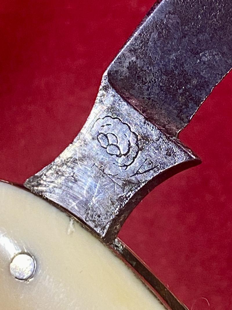 Unusual Fish Shaped Penknife by Southern & Richards of Sheffield c1900