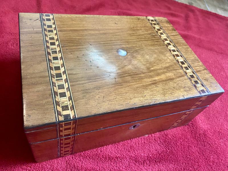 Stunning Antique Victorian Walnut Veneer Box with Marquetry Banding Containing a Beautiful Display of Sea Shells