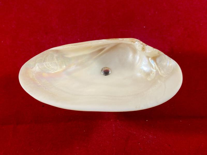 Beautiful Antique Mother of Pearl and Hallmarked Silver Pedestal Dish by William Vale & Sons 1922