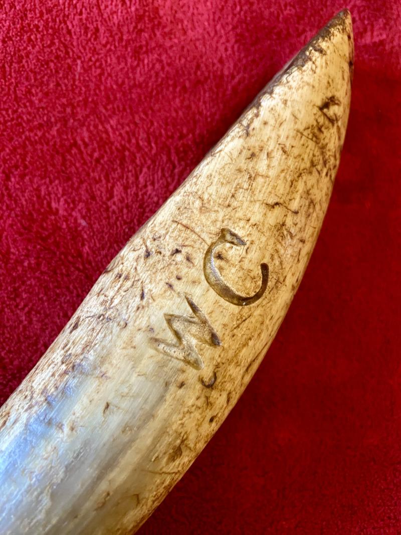 Antique Drenching Horn Farm Implement Engraved with WC