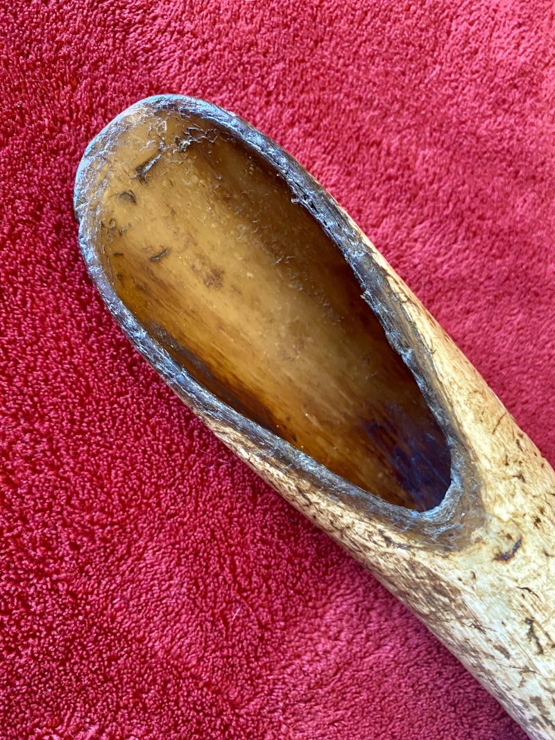 Antique Drenching Horn Farm Implement Engraved with WC