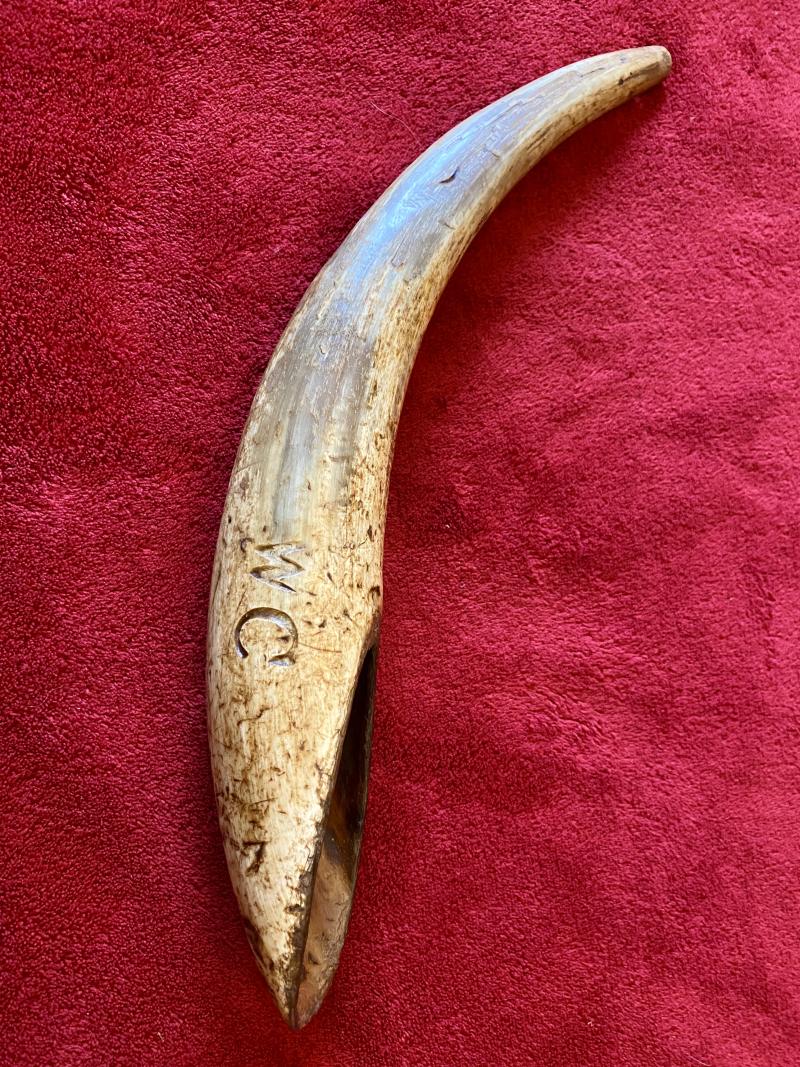 Antique Drenching Horn Farm Implement Engraved with WC