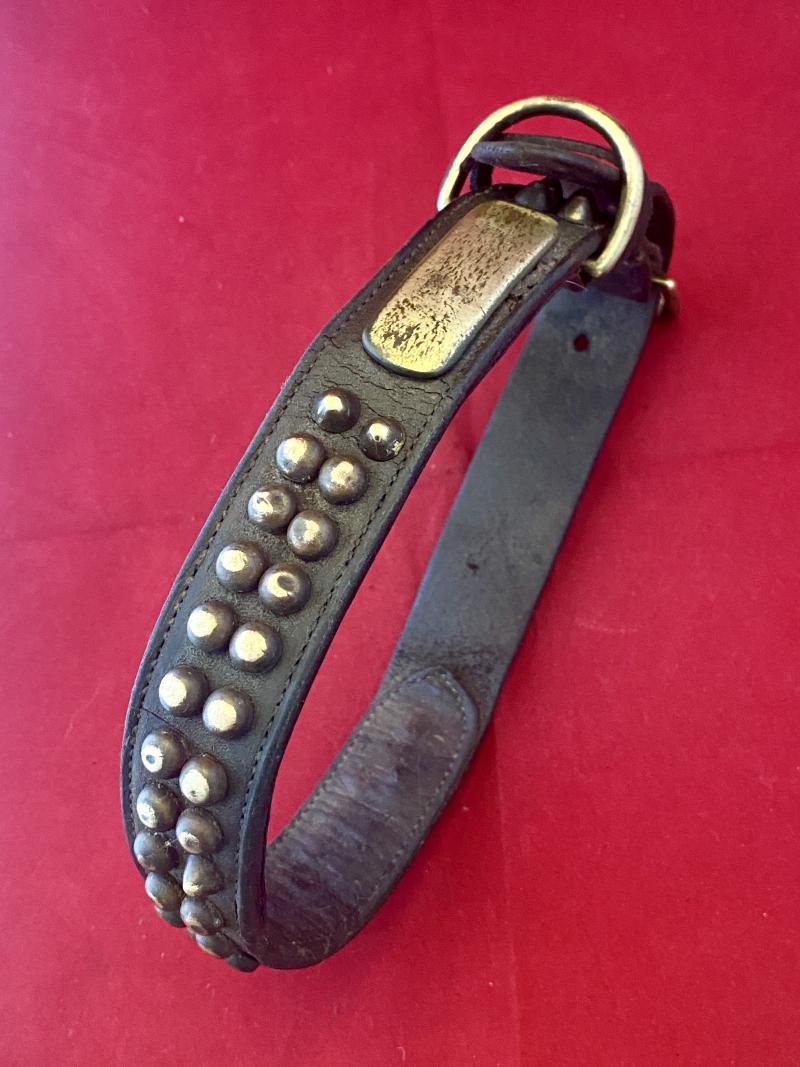 Large Antique Leather Dog Collar with Pointed Brass Studs and Blank Name Plaque
