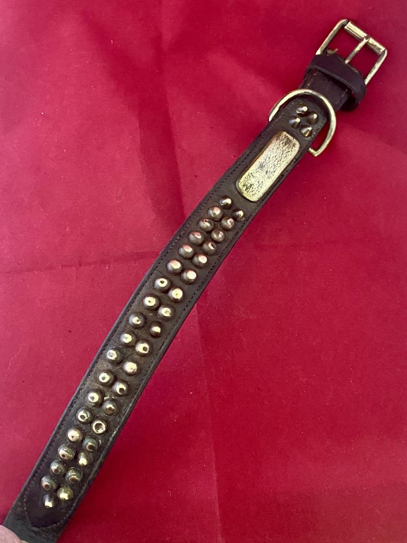 Large Antique Leather Dog Collar with Pointed Brass Studs and Blank Name Plaque
