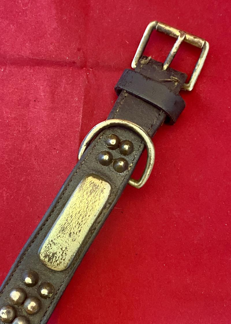 Large Antique Leather Dog Collar with Pointed Brass Studs and Blank Name Plaque