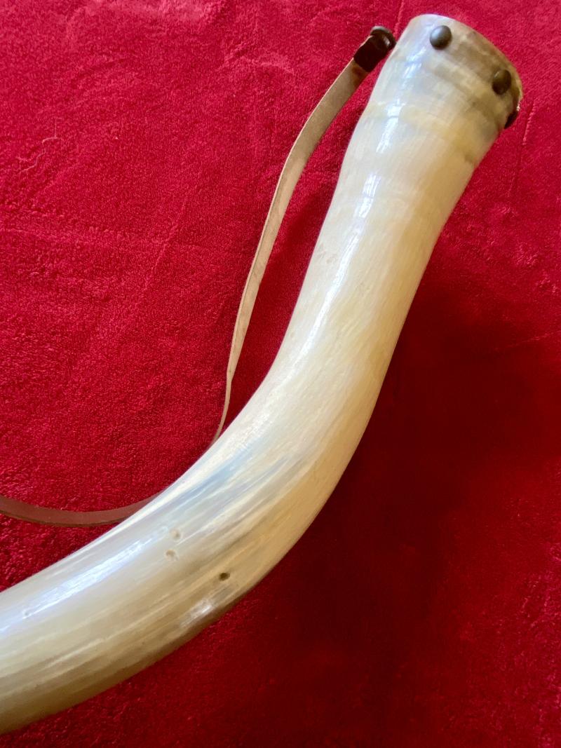 Large 20” Curved Cattle Horn Powder Flask with Carrying Strap and Horn Stopper