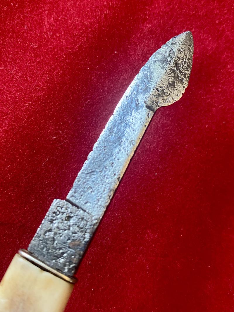Antique Victorian Medical Surgical Blood Letting Fleam Knife with Bone Handle by S & D