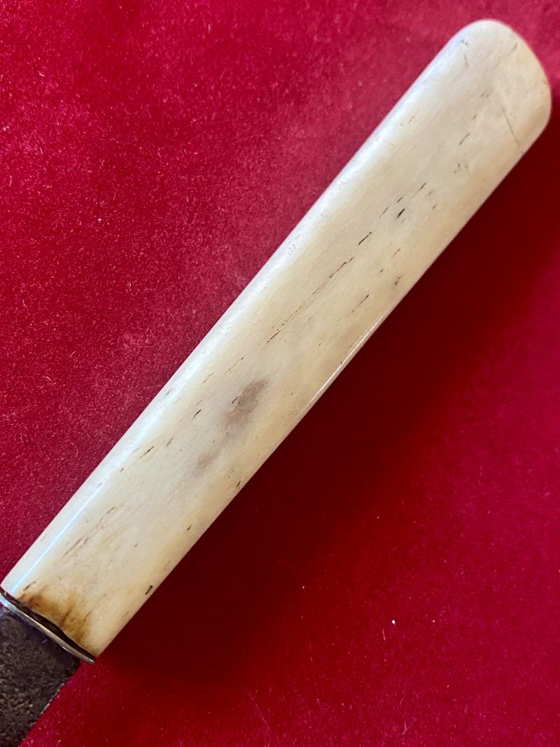 Antique Victorian Medical Surgical Blood Letting Fleam Knife with Bone Handle by S & D