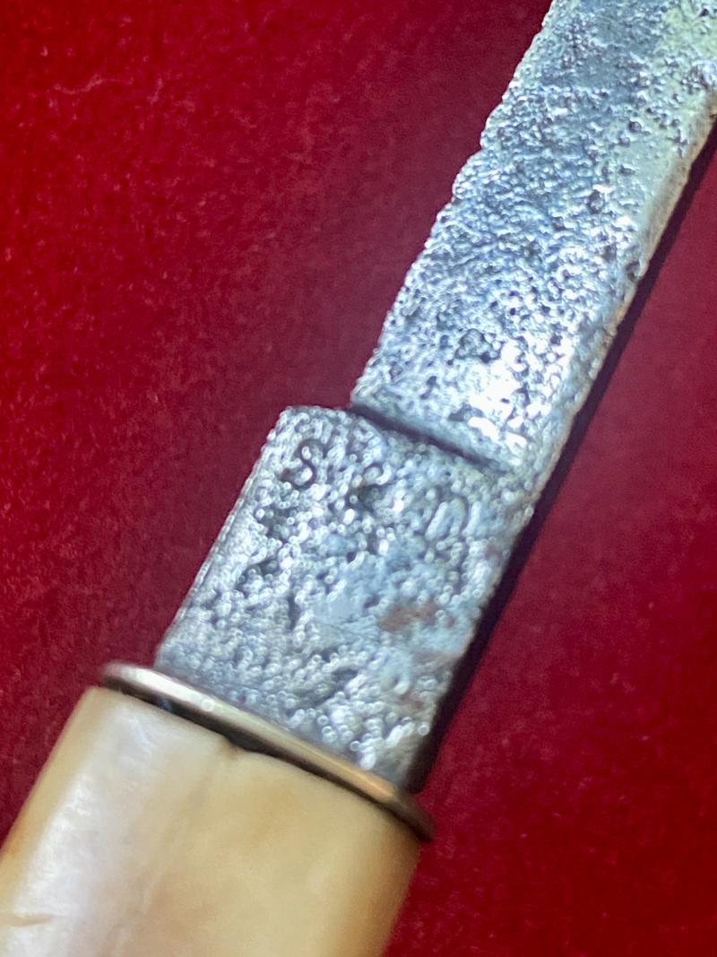 Antique Victorian Medical Surgical Blood Letting Fleam Knife with Bone Handle by S & D