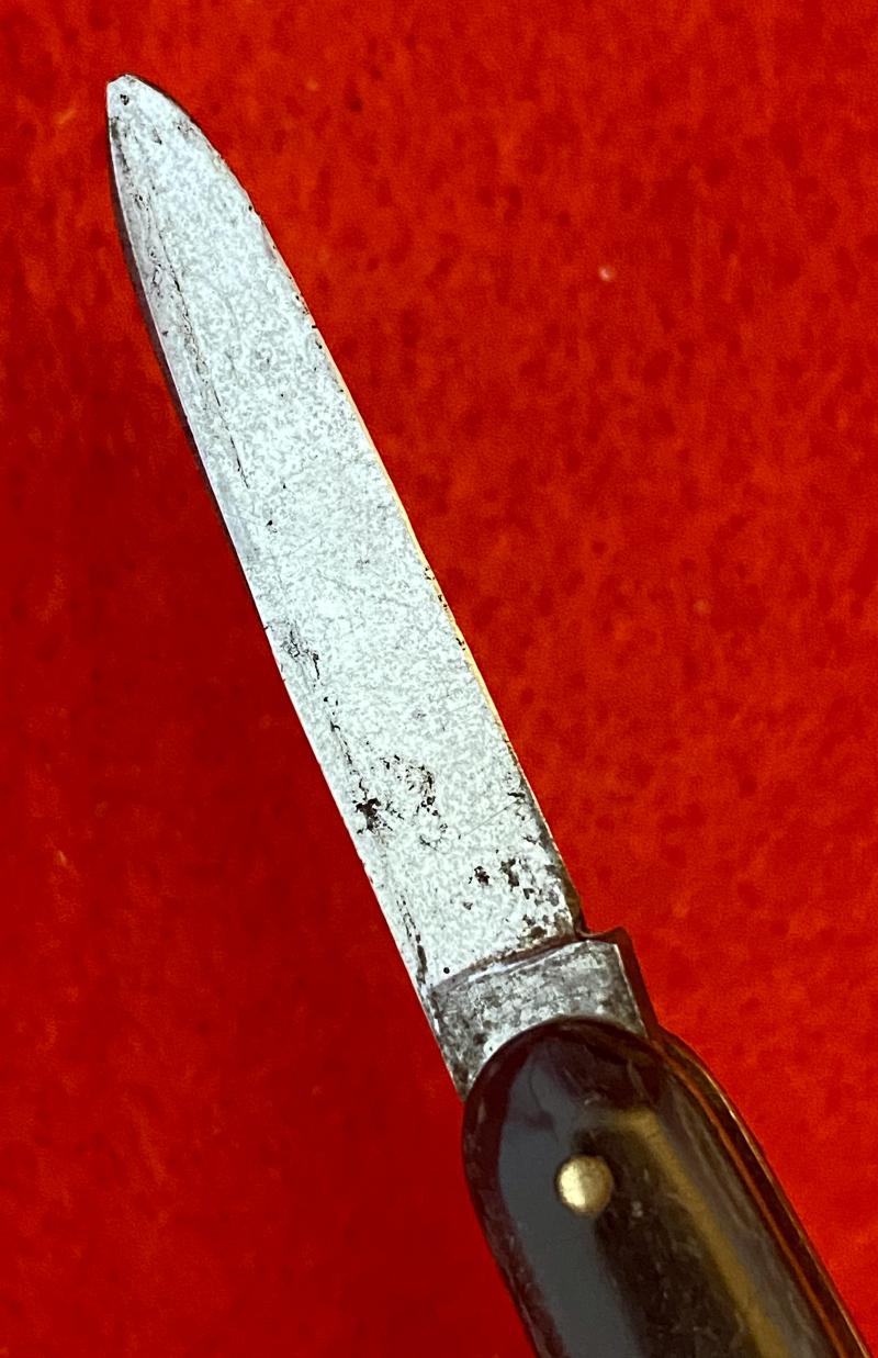 Fine Double-Bladed Penknife with Horn Grip Inset with Silver and Mother of Pearl
